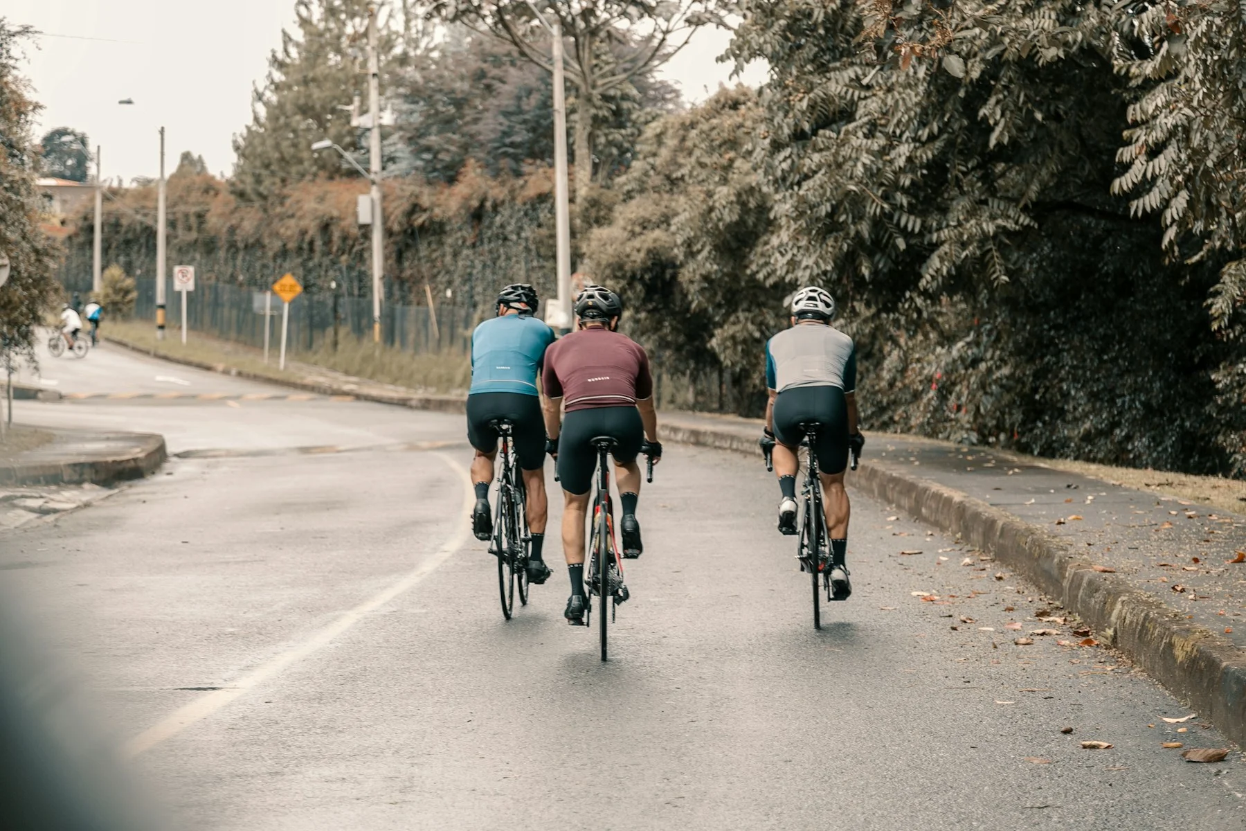 Cyclistes sur une route bordée d’arbres